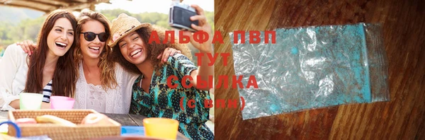 СК Волосово