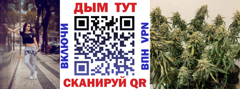 Купить закладки  Каргат  Шишки марихуана Amnesia 